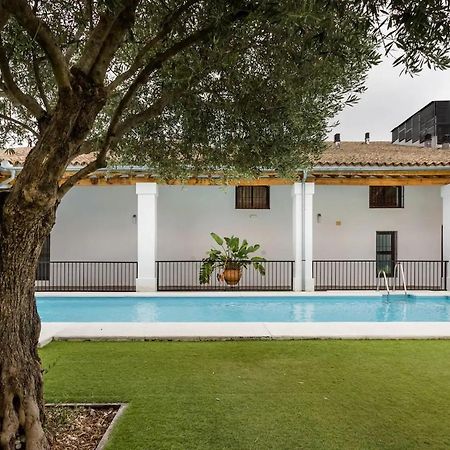Artqhost Jerez Huge Loft & Free Parking Lägenhet Jerez de la Frontera Exteriör bild