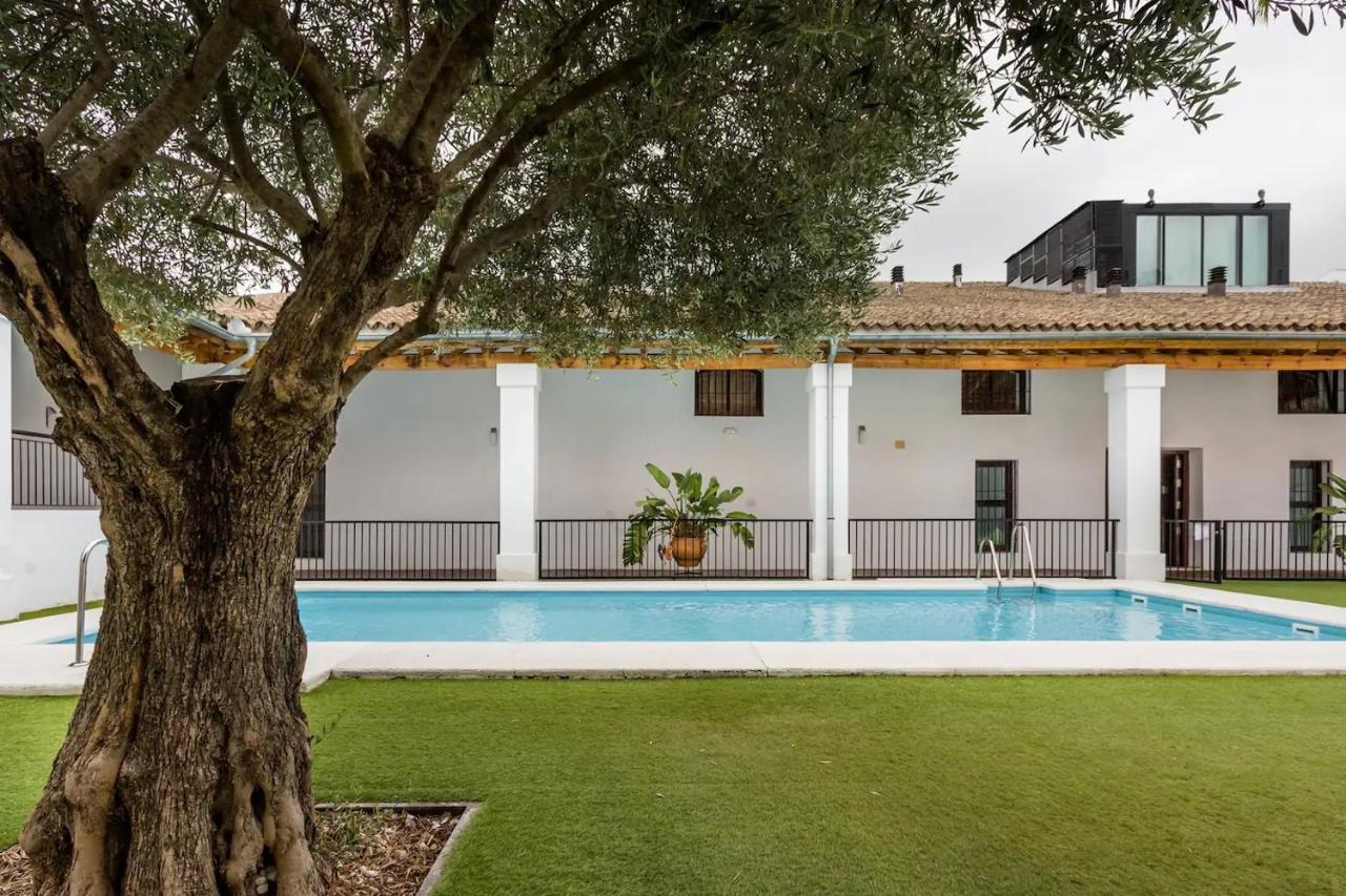 Artqhost Jerez Huge Loft & Free Parking Lägenhet Jerez de la Frontera Exteriör bild
